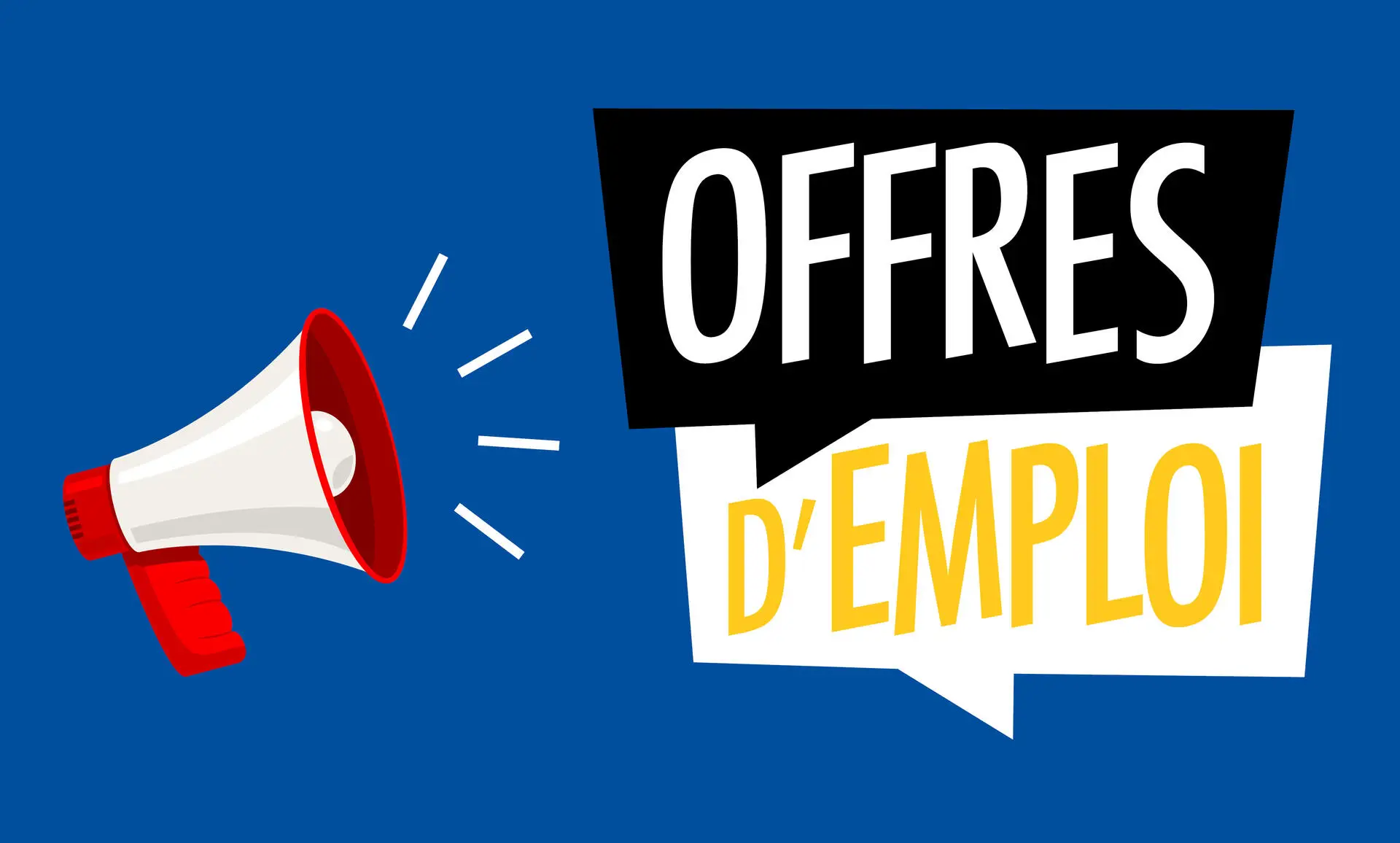 Voir les Catégories